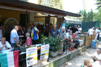 Clicca sulla foto per vedere ingrandimento